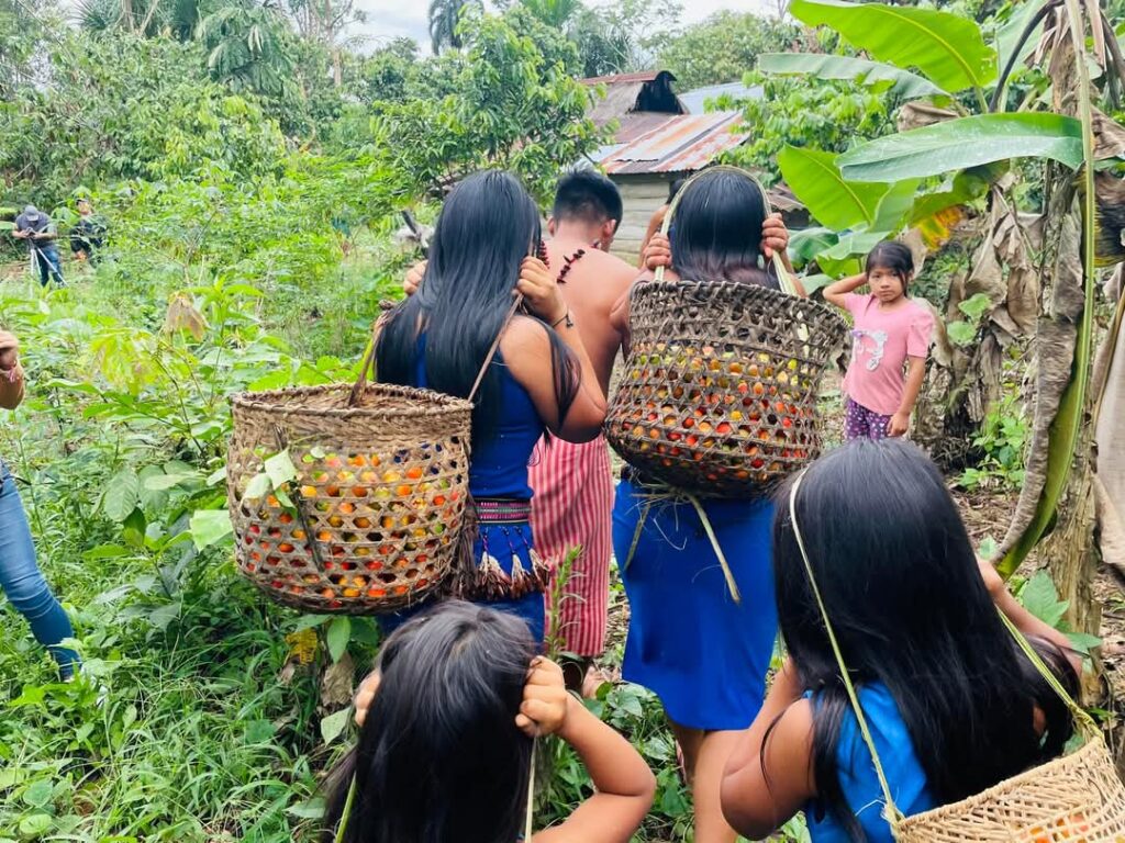 Shuar people walking with baskets of food